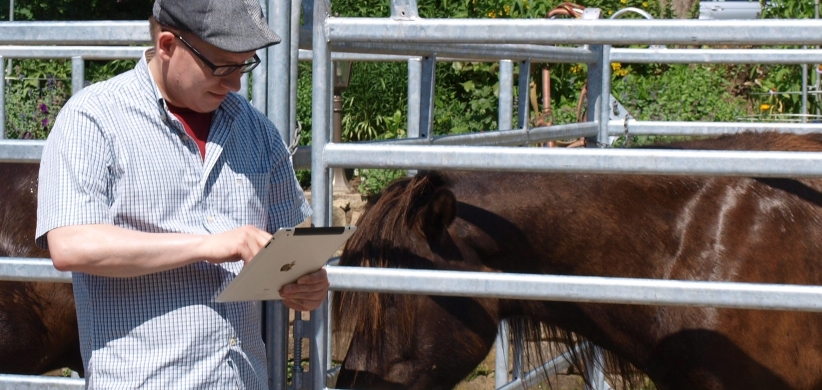 Mit iPad an der Box